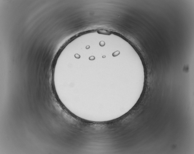 X0000111670888200908281108