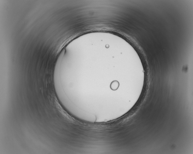 X0000111670889200908281108