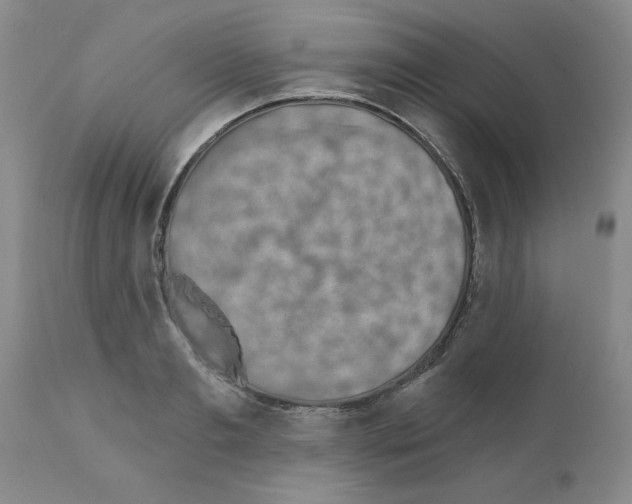 X0000111670893200908281108