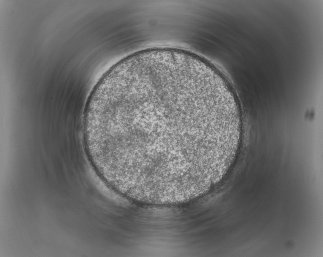 X0000111670895200908281108