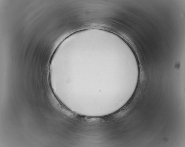 X0000111670899200908281108