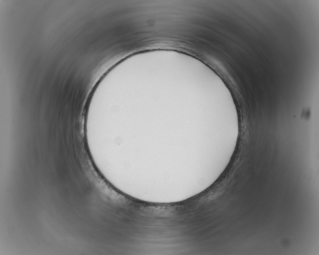 X0000111670900200908281108