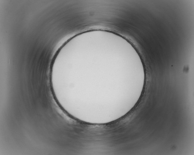 X0000111670902200908281108