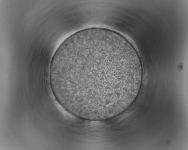 X0000111670903200908281108