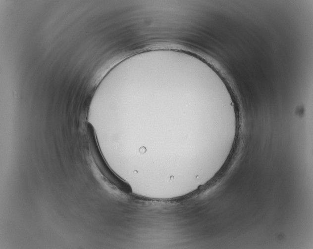 X0000111670905200908281108