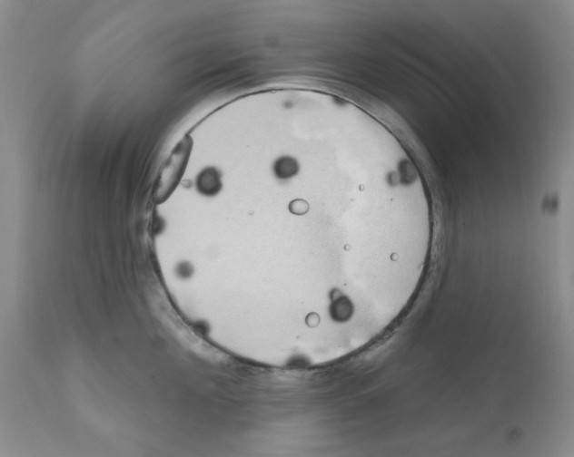 X0000111670908200908281108