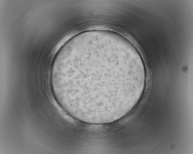 X0000111670909200908281108