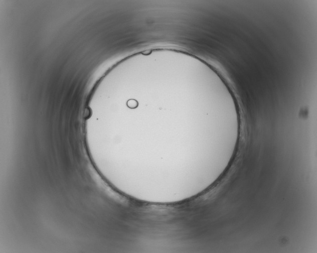 X0000111670910200908281108