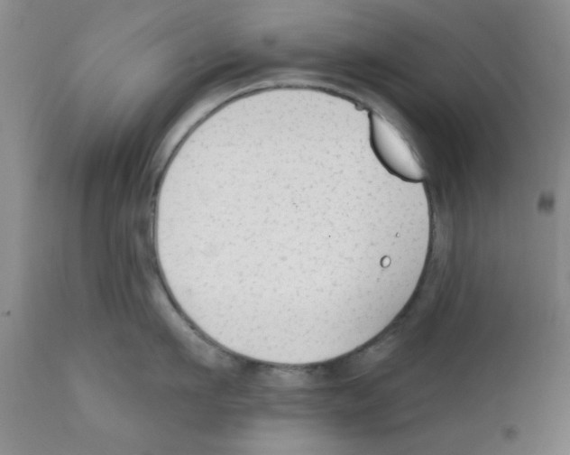 X0000111670911200908281108