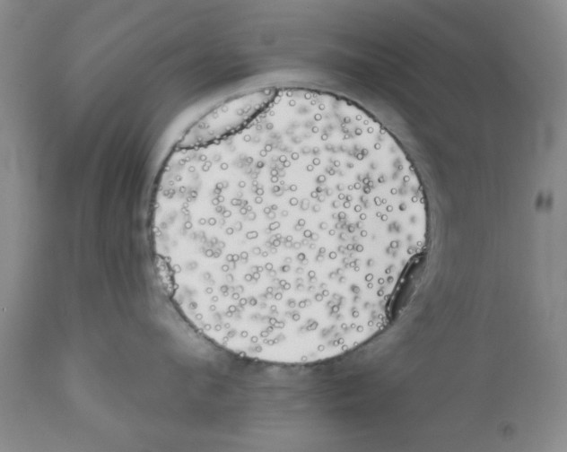 X0000111670912200908281108