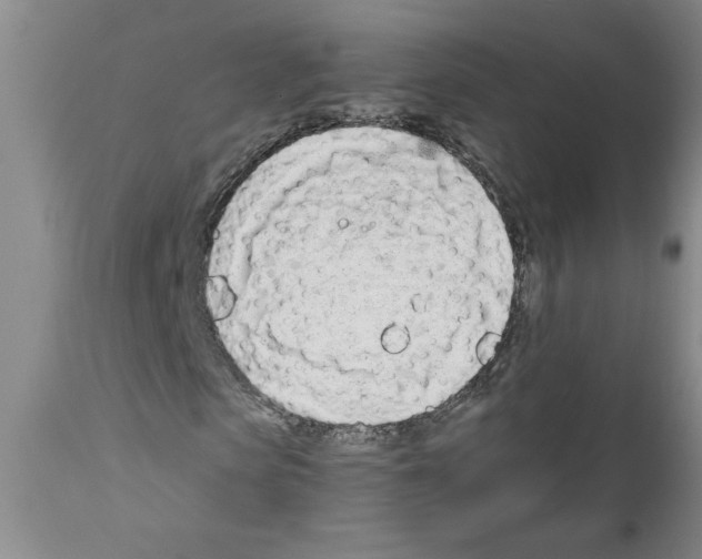 X0000111670913200908281107