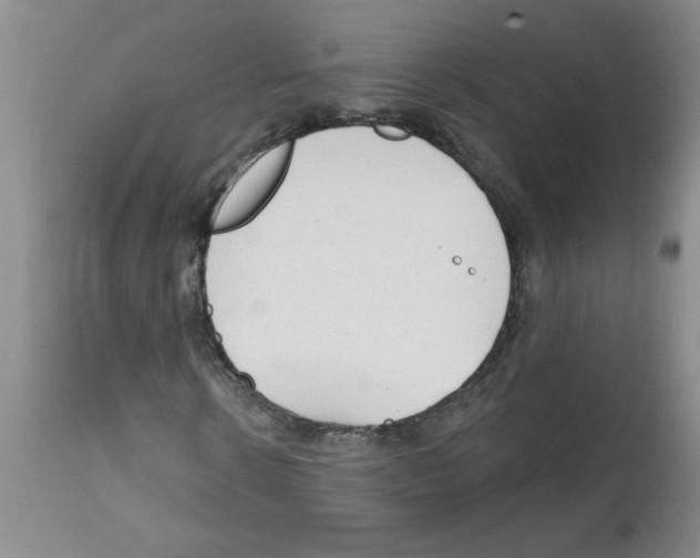 X0000111670914200908281107