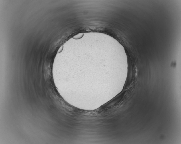 X0000111670915200908281107