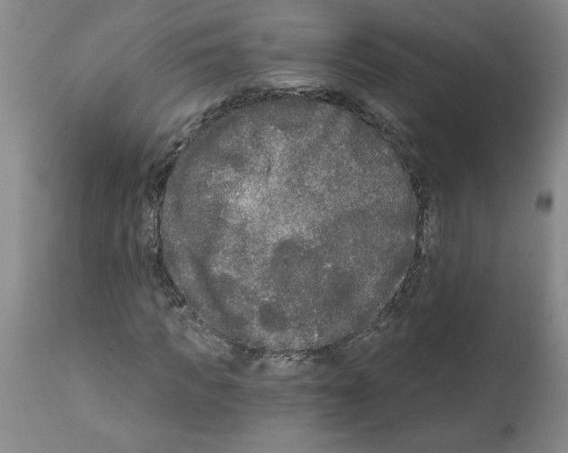 X0000111670917200908281107