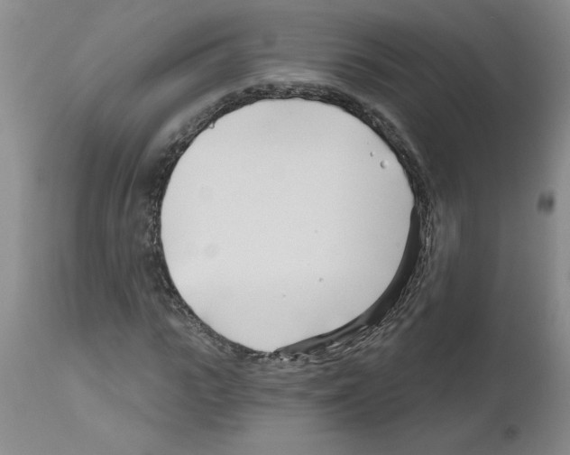 X0000111670919200908281107