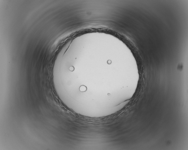 X0000111670920200908281107