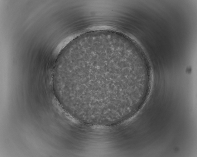 X0000111670921200908281107