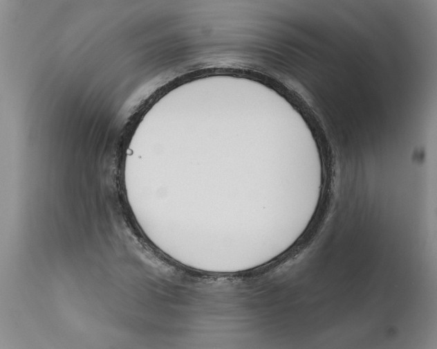 X0000111670922200908281107