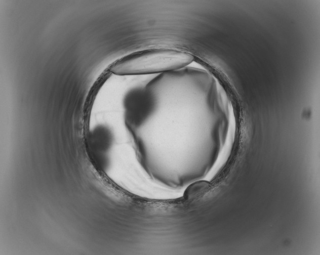 X0000111670924200908281107