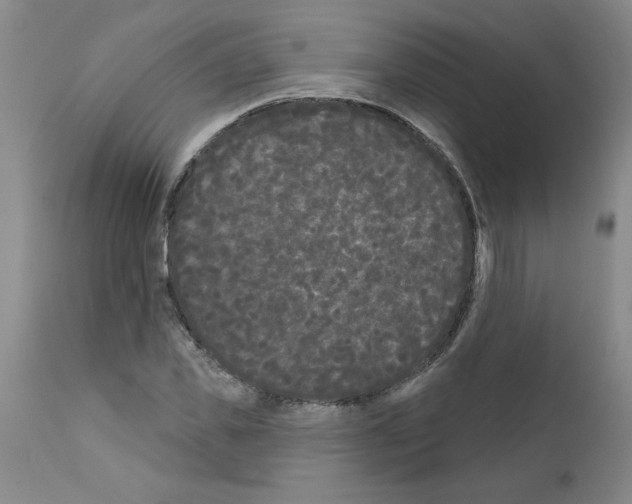 X0000111670925200908281107