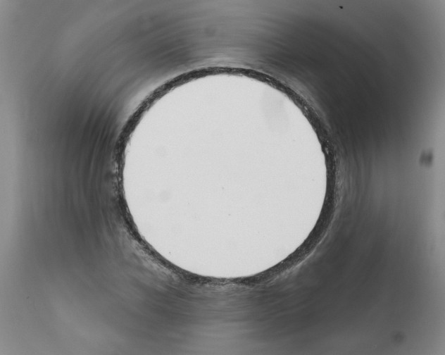 X0000111670926200908281107