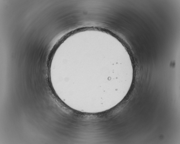 X0000111670927200908281107