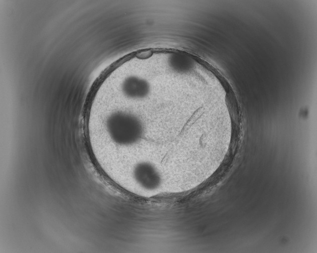 X0000111670928200908281107