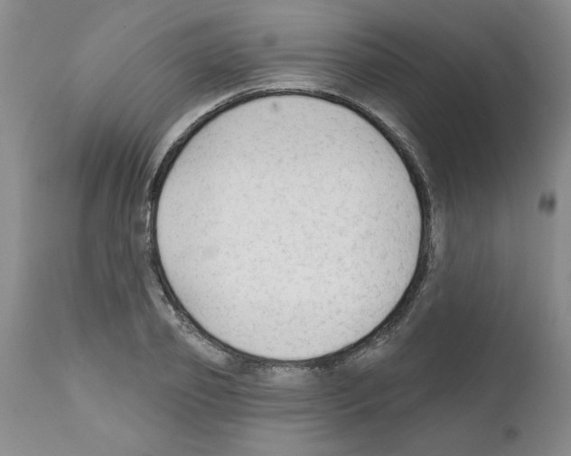 X0000111670933200908281107