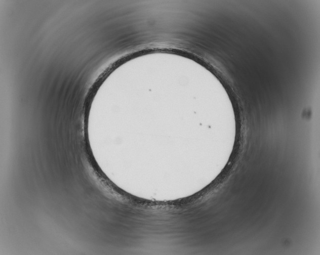 X0000111670934200908281107