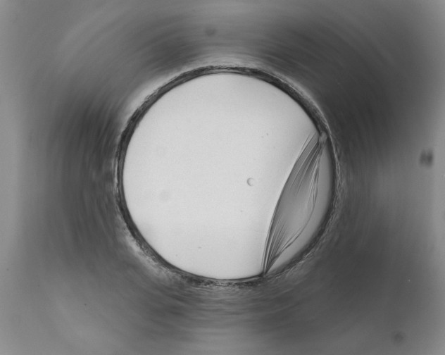 X0000111670935200908281107