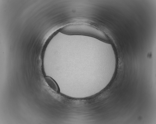 X0000111670936200908281107