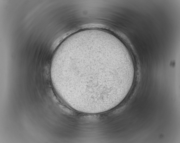 X0000111670937200908281107