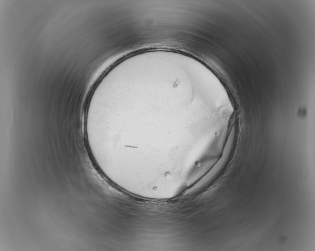 X0000111670940200908281107