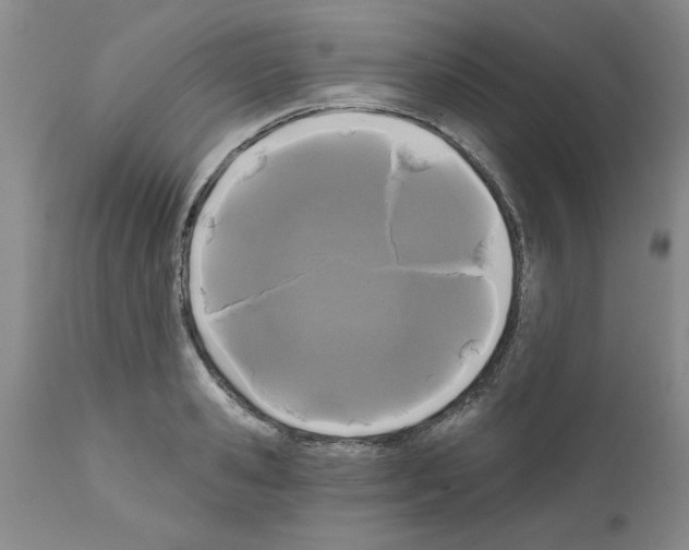 X0000111670941200908281108