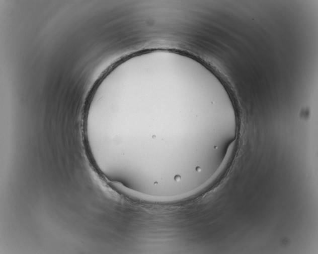 X0000111670942200908281108