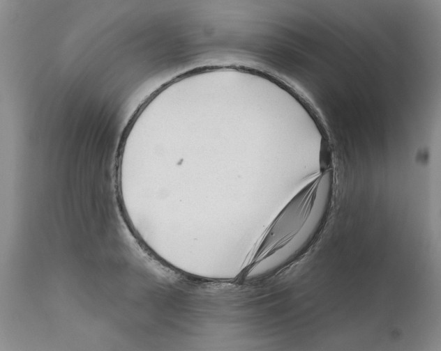 X0000111670943200908281108