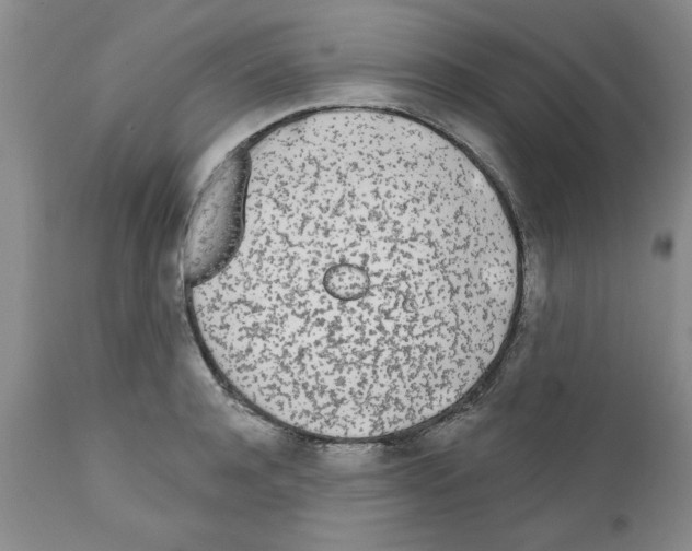 X0000111670944200908281108