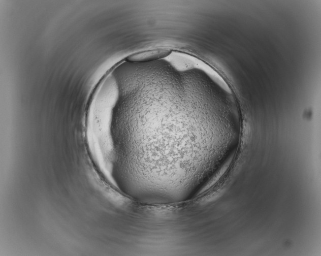 X0000111670948200908281108