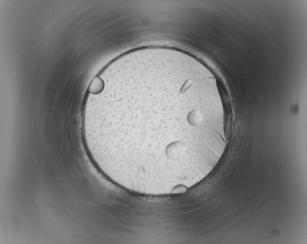 X0000111670951200908281108