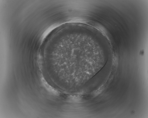 X0000111670952200908281108