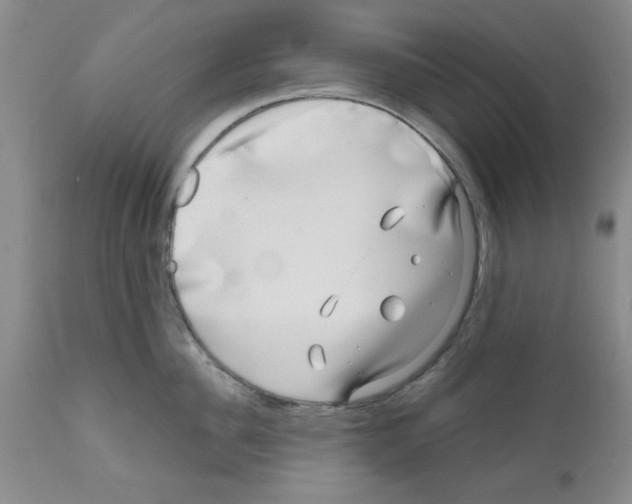 X0000111670956200908281108