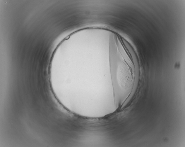 X0000111670959200908281108