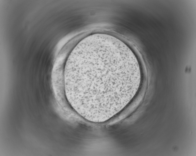 X0000111670960200908281108