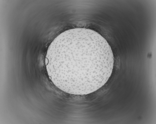 X0000111670962200908281107