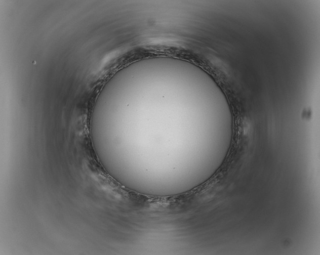 X0000111670965200908281107