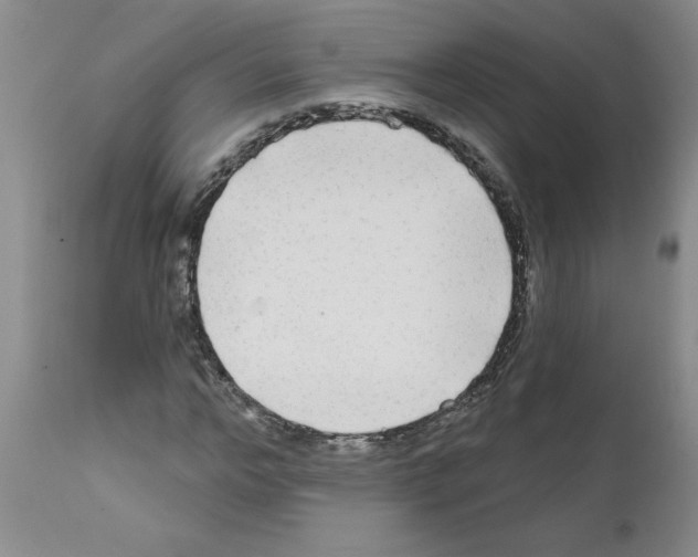 X0000111670968200908281107