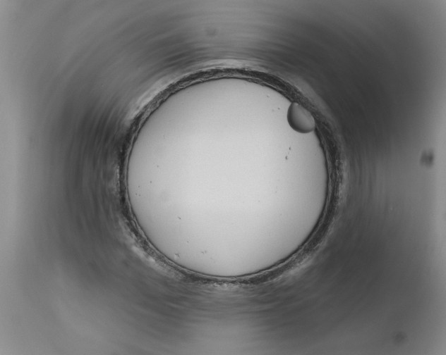 X0000111670969200908281107