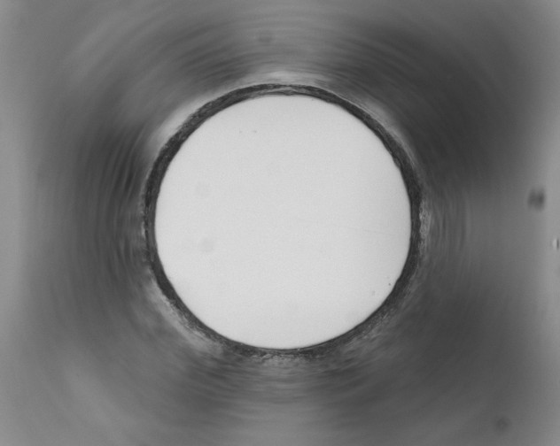 X0000111670972200908281107