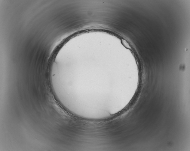 X0000111670973200908281107