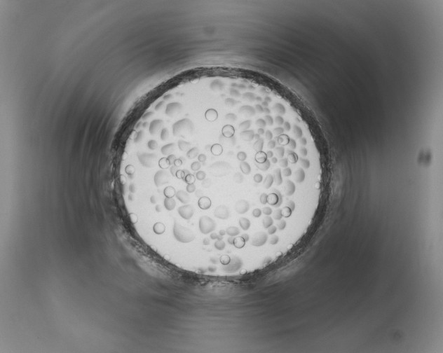 X0000111670974200908281107